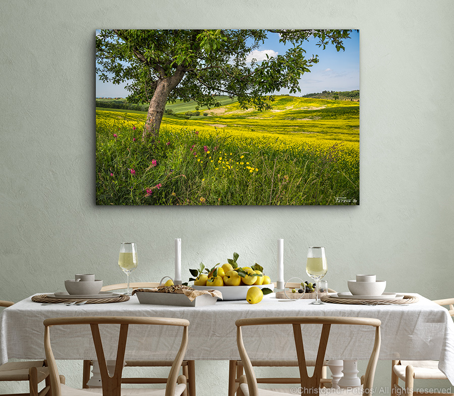 Photo print of Tuscan fields of rapeseed by Christopher Petsos hanging in a dining room